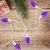 Northlight 25 Count Purple LED C9 Christmas Lights, 16 Ft White Wire -Northlight GUEST 2851f8e9 952a 488a b3b2 03ce7a892079