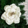Northlight 24" Glittered Cream Magnolia Christmas Stem Spray 1 Northlight 24" Glittered Cream Magnolia Christmas Stem Spray -Northlight GUEST 3c1e70a9 2d63 45bd 80bc 6305a153243f