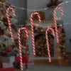 Northlight LED Micro Fairy Candy Cane Christmas Lights - 3' Clear Wire - 10ct -Northlight GUEST 42da333a 856d 4e6c 8de6 5d49018360f3