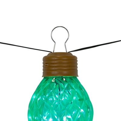 Northlight Commercial Size LED C9 Style Christmas Light Set - Multi-Color - 12' Black Wire - 5ct 6 Northlight Commercial Size LED C9 Style Christmas Light Set - Multi-Color - 12' Black Wire - 5ct - Image 4