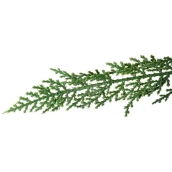 Northlight Pre-Lit Medium Weeping Cedar IPT Artificial Christmas Tree - 6.5' - Dual Color LED Lights 13 Northlight Pre-Lit Medium Weeping Cedar IPT Artificial Christmas Tree - 6.5' - Dual Color LED Lights -Northlight GUEST 4933ec7f 9d4b 42c8 825d 157477810293