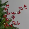 Northlight Lighted Berries Christmas Spray - 29" - Warm White 2 Northlight Lighted Berries Christmas Spray - 29" - Warm White -Northlight GUEST 4bcc6c5d d6f5 435e 8b29 dc139792e64c