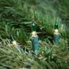 Northlight Mini Christmas Light Set - Clear With Green Tips - 20.25' Green Wire - 100ct -Northlight GUEST 5ff04b9e ac13 4bd9 b066 324fc1e22331