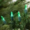 Northlight 50ct Green LED Mini Christmas Lights, 16.25ft Green Wire 2 Northlight 50ct Green LED Mini Christmas Lights, 16.25ft Green Wire -Northlight GUEST 6236e7b6 a477 47ff a3a3 effe5453b3b5