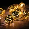 Northlight Battery Operated Metal Ball Christmas Lights - Warm White LED - 6.25' Clear Wire - 10ct -Northlight GUEST 6624ff97 ce2c 4d41 9b6f 64a1c2d36950