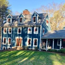 Northlight 24" Unlit Canadian Pine Artificial Christmas Wreath -Northlight GUEST 6cca1dfc a278 43b6 ab26 36d525bf9ff4