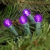 Northlight LED G12 Berry Mini Christmas Lights - Purple - 15.9' - Green Wire - 50ct -Northlight GUEST 78e6b5b7 d0e5 4589 8d9b 6abc8e89ed52