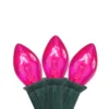 Northlight C7 Christmas String Lights - Pink - 24' Green Wire - 25ct -Northlight GUEST 7cac9704 0aee 44f0 85e0 a254c2a09e40