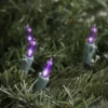 Northlight LED Mini Christmas Lights - Purple -33' Green Wire - 100ct -Northlight GUEST 87cda629 a972 4183 abe8 02c8c1acd8ee