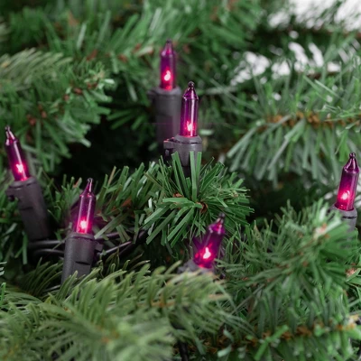 Northlight Mini Incandescent Christmas Lights - Purple - 7' Black Wire - 35ct 4 Northlight Mini Incandescent Christmas Lights - Purple - 7' Black Wire - 35ct - Image 2