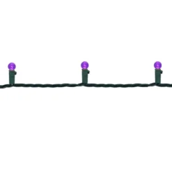 Northlight LED G12 Berry Mini Christmas Lights - Purple - 15.9' - Green Wire - 50ct -Northlight GUEST 9b1fdc6a a0a4 4468 b4e1 812df9258a4b