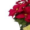 Northlight 20" Red Artificial Christmas Poinsettia With Gold Wrapped Pot -Northlight GUEST c465c6a7 5c13 45d9 9c5a c818be14e2d8