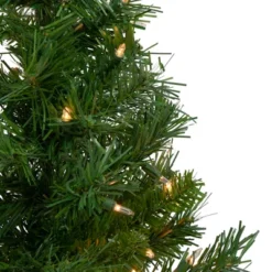 Northlight Pre-Lit Medium Royal Pine Artificial Christmas Tree - 2' - Clear Lights 9 Northlight Pre-Lit Medium Royal Pine Artificial Christmas Tree - 2' - Clear Lights -Northlight GUEST c994d2f6 1b30 4beb 98ac 9d9dee3c770d