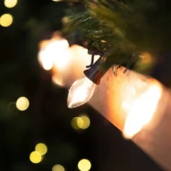 Northlight C7 Christmas String Lights - Clear - 24' Brown Wire - 25ct -Northlight GUEST cf323cde 0832 45e0 9072 aa6b5d14c999