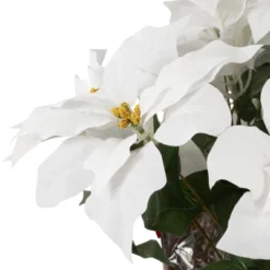 Northlight 22" White Artificial Christmas Poinsettia Flowers With Red Wrapped Base 11 Northlight 22" White Artificial Christmas Poinsettia Flowers With Red Wrapped Base -Northlight GUEST d26babd3 94a5 4d30 aec4 93fd4590dc8a