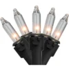 Northlight Mini Incandescent Christmas Lights - Clear - 10' Black Wire - 50ct -Northlight GUEST d69d52fb 0621 45a0 9a21 e82b7af43013
