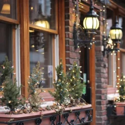 Northlight 10-Count Clear Mini Christmas Light Set - 3' Green Wire -Northlight GUEST e4a1fd54 a198 4b16 87b1 7eee5bb69bd1