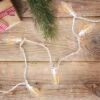 Northlight 25 Count Warm White LED C9 Christmas Lights, 16 Ft White Wire -Northlight GUEST f1772742 257e 4c90 a733 91d8b631deb1