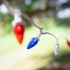 Northlight C7 LED Patriotic Christmas Lights - Blue, White And Red - 16' White Wire - 25ct 2 Northlight C7 LED Patriotic Christmas Lights - Blue, White And Red - 16' White Wire - 25ct -Northlight GUEST ff368e53 6717 4ea4 bea6 c8dc93743c1d