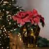 Northlight 14.5" Dark Pink Artificial Christmas Poinsettia With Gold Wrapped Base 2 Northlight 14.5" Dark Pink Artificial Christmas Poinsettia With Gold Wrapped Base -Northlight GUEST ffcf3b47 dbc5 40fe bb87 07a9eadd7c83